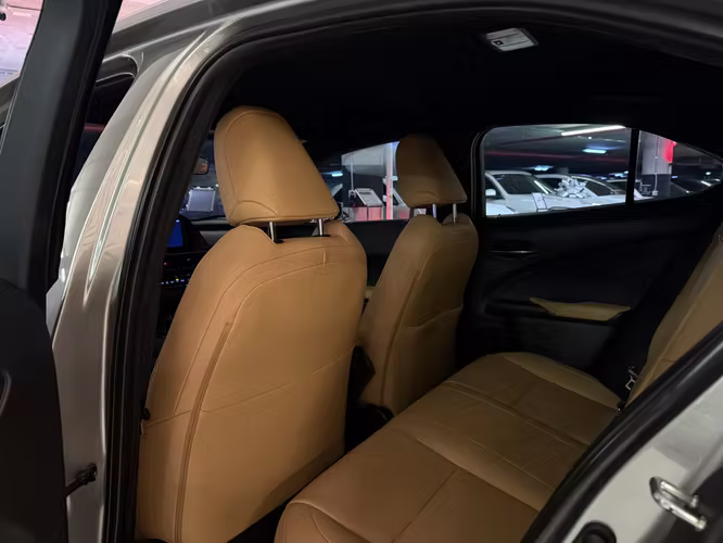 LEXUS UX 250h AWD 2023