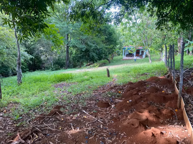 Propiedad de 3,919.5 m² en Venta en Santa Catalina, Veraguas – A Pasos de la Playa