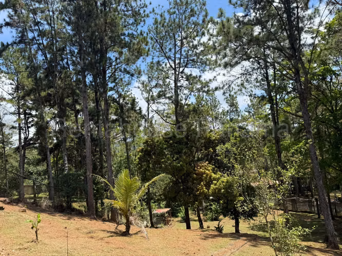 VENTA DE CASA EN ALTOS DE CERRO AZUL CERRO AZUL HQ - Imagen 14