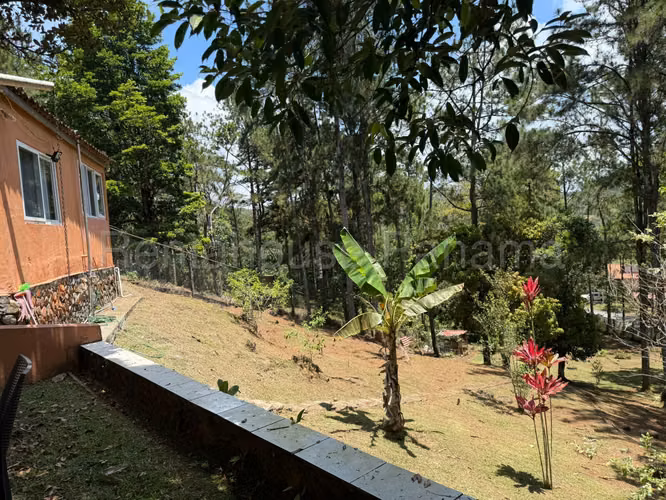 VENTA DE CASA EN ALTOS DE CERRO AZUL CERRO AZUL HQ - Imagen 15