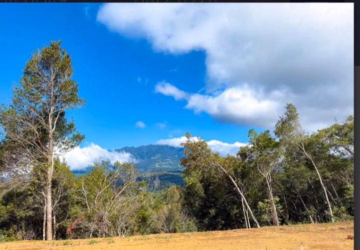 Jaramillo en Boquete - Imagen 3