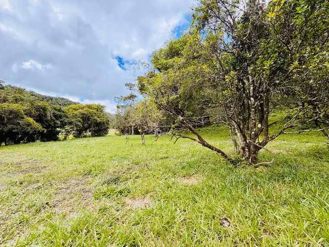 Terreno Residencial en Bajo Boquete