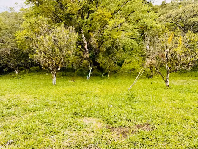 Terreno Residencial en Bajo Boquete