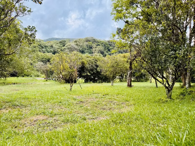 Terreno Residencial en Bajo Boquete