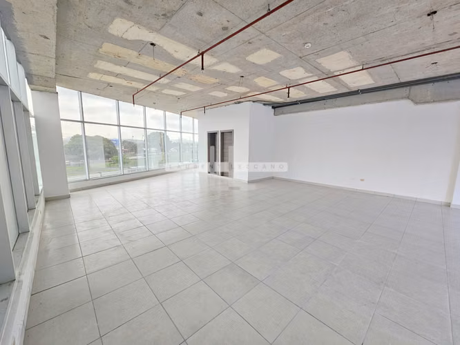Venta de Local Comercial de Esquina en Terrazas de Albrook - Precio Negociable - Imagen 16
