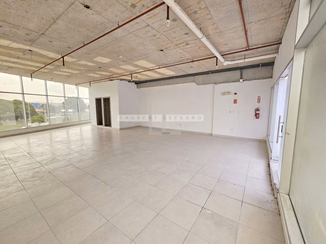 Venta de Local Comercial de Esquina en Terrazas de Albrook - Precio Negociable - Imagen 7