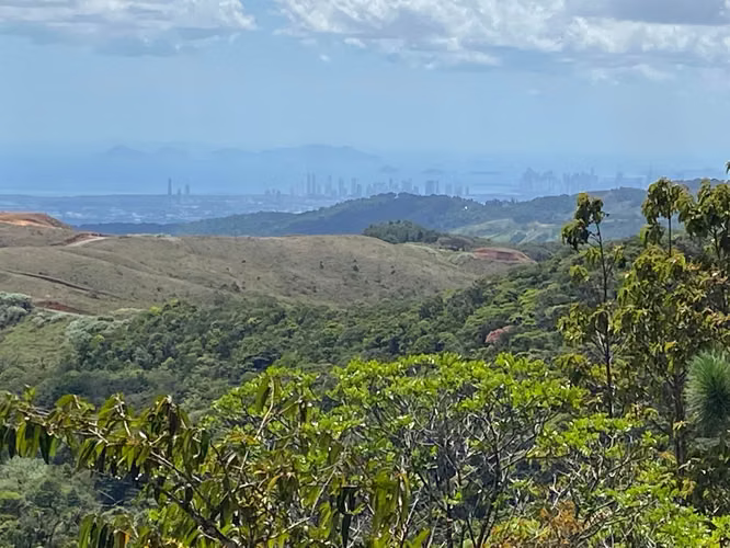 VENDO Terreno en Cerro Azul. 282 Hectareas - Imagen 3
