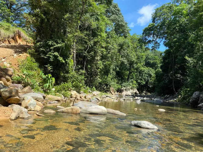 VENDO Terreno con Hacienda en Pacora. 512 HAS - Imagen 17