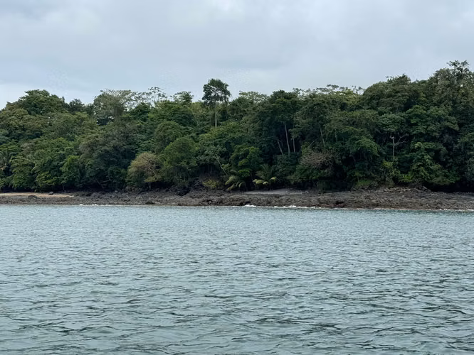 Se Venden 100 Hectáreas en Isla Gobernadora, Veraguas, Panamá – Excelente Oportunidad de Inversión
