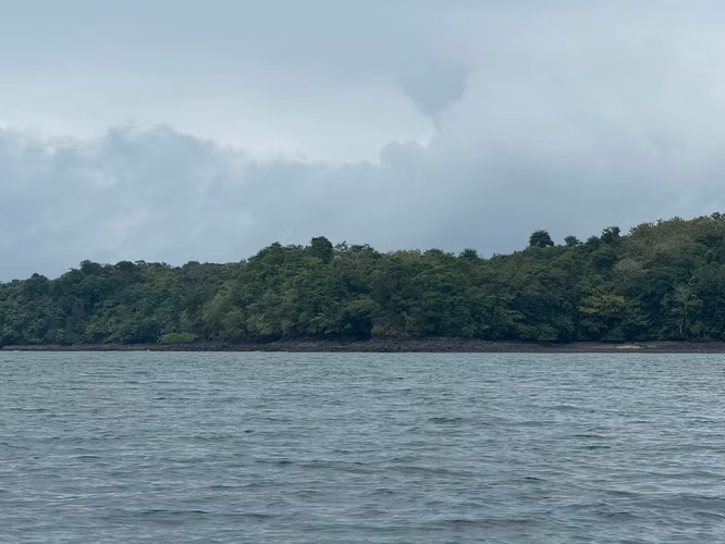 Se Venden 100 Hectáreas en Isla Gobernadora, Veraguas, Panamá – Excelente Oportunidad de Inversión