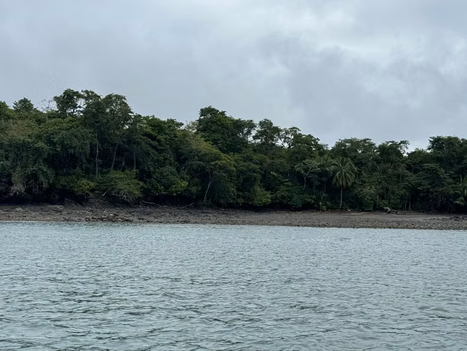 Se Venden 100 Hectáreas en Isla Gobernadora, Veraguas, Panamá – Excelente Oportunidad de Inversión