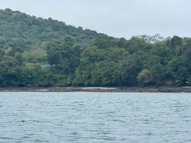 Se Venden 100 Hectáreas en Isla Gobernadora, Veraguas, Panamá – Excelente Oportunidad de Inversión