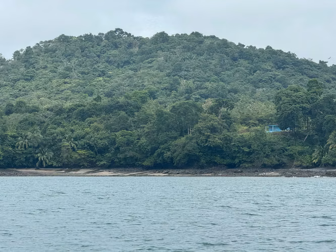 Se Venden 100 Hectáreas en Isla Gobernadora, Veraguas, Panamá – Excelente Oportunidad de Inversión