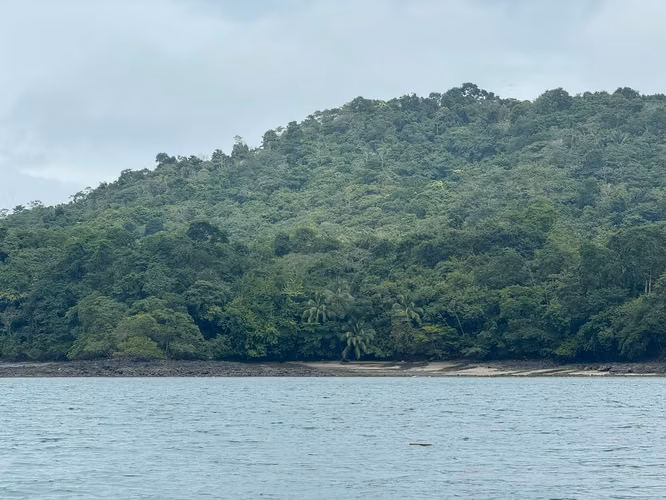 Se Venden 100 Hectáreas en Isla Gobernadora, Veraguas, Panamá – Excelente Oportunidad de Inversión