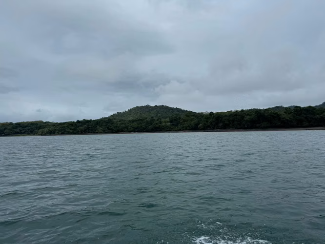 Se Venden 100 Hectáreas en Isla Gobernadora, Veraguas, Panamá – Excelente Oportunidad de Inversión