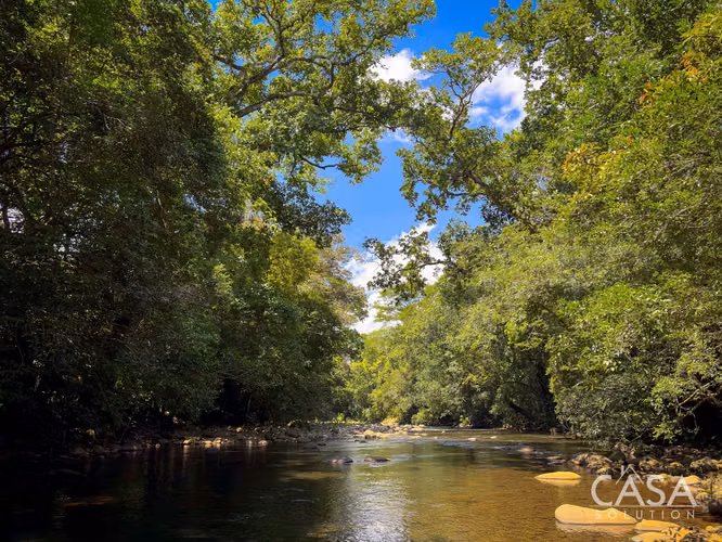 3.25 Hectáreas de Finca Frente al Río en Venta en Guacá, David, Chiriquí