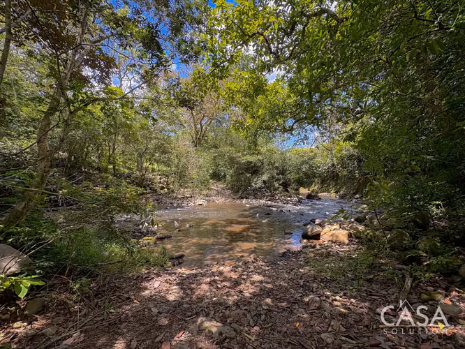 3.25 Hectáreas de Finca Frente al Río en Venta en Guacá, David, Chiriquí