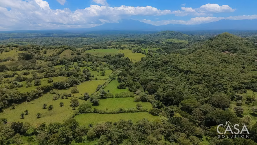 3.25 Hectáreas de Finca Frente al Río en Venta en Guacá, David, Chiriquí