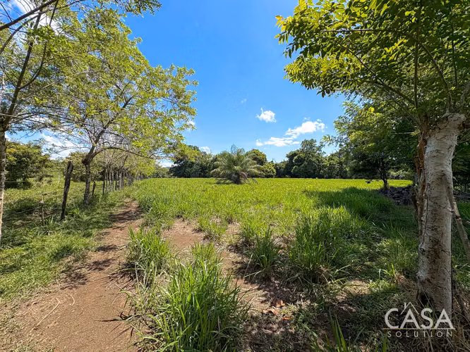 3.25 Hectáreas de Finca Frente al Río en Venta en Guacá, David, Chiriquí