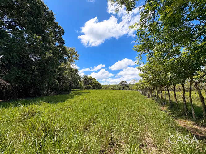 3.25 Hectáreas de Finca Frente al Río en Venta en Guacá, David, Chiriquí