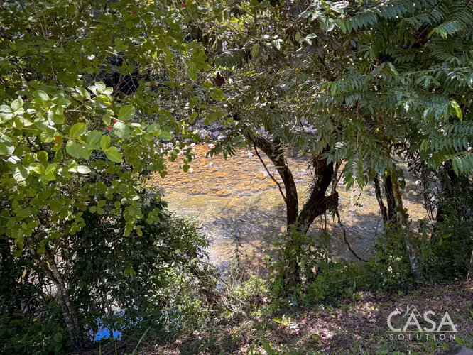 3.25 Hectáreas de Finca Frente al Río en Venta en Guacá, David, Chiriquí