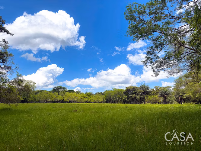 3.25 Hectáreas de Finca Frente al Río en Venta en Guacá, David, Chiriquí