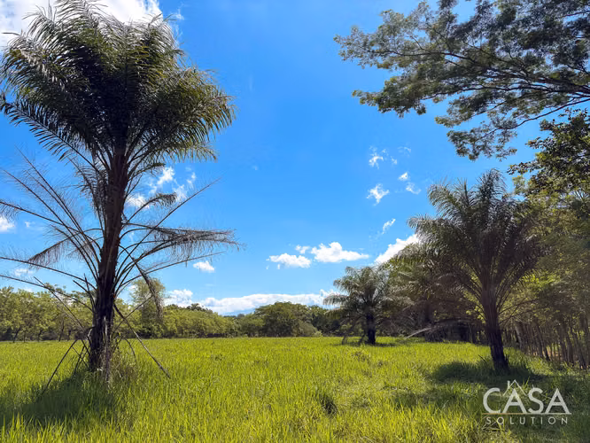 3.25 Hectáreas de Finca Frente al Río en Venta en Guacá, David, Chiriquí
