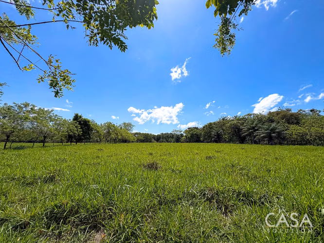 3.25 Hectáreas de Finca Frente al Río en Venta en Guacá, David, Chiriquí