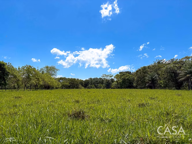 3.25 Hectáreas de Finca Frente al Río en Venta en Guacá, David, Chiriquí
