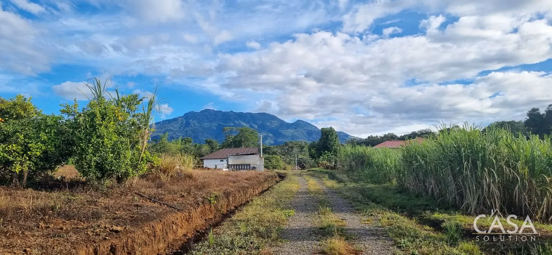 Lote Plano con Vistas Al Océano y Al Volcán Barú en Venta en Potrerillos Arriba, Chiriquí - Imagen 5