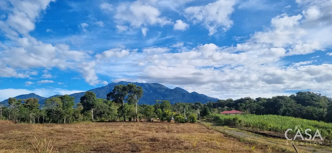 Lote Plano con Vistas Al Océano y Al Volcán Barú en Venta en Potrerillos Arriba, Chiriquí - Imagen 4