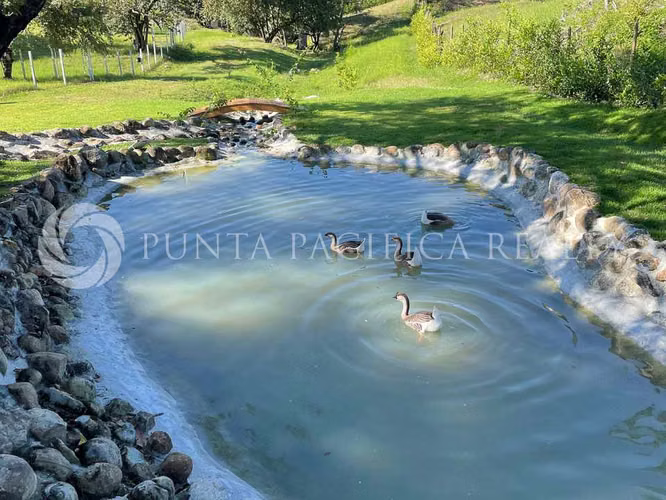 Venta | Exclusiva Casa Ecuestre en Punta Barco | Establo Privado, Piscina y Acceso al Río - Imagen 12