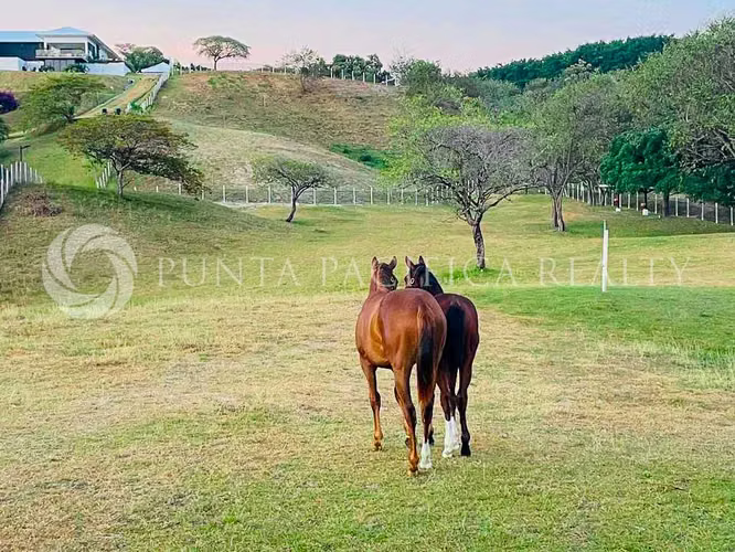 Venta | Exclusiva Casa Ecuestre en Punta Barco | Establo Privado, Piscina y Acceso al Río - Imagen 13