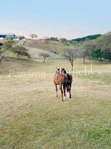 Venta | Exclusiva Casa Ecuestre en Punta Barco | Establo Privado, Piscina y Acceso al Río
