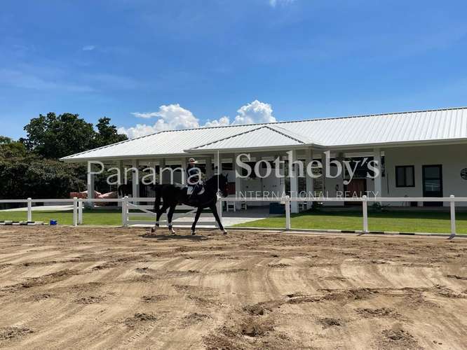 Venta | Exclusiva Casa Ecuestre en Punta Barco | Establo Privado, Piscina y Acceso al Río