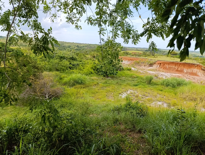 ES-Finca de casi 10 hectáreas en venta | Llano Bonito entrando por Río Hato, Coclé | US$274,000 - Imagen 2