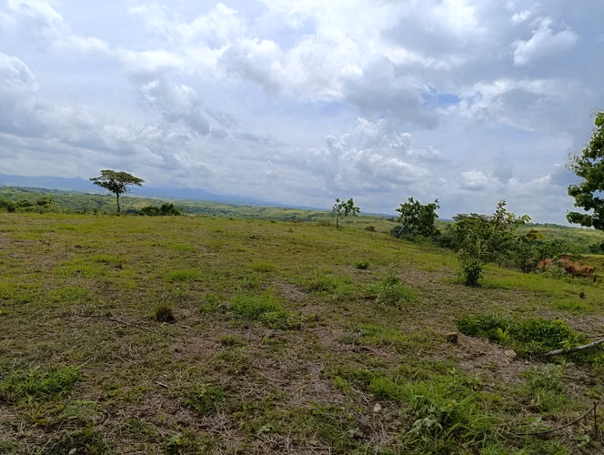 ES-Finca de casi 10 hectáreas en venta | Llano Bonito entrando por Río Hato, Coclé | US$274,000 - Imagen 4