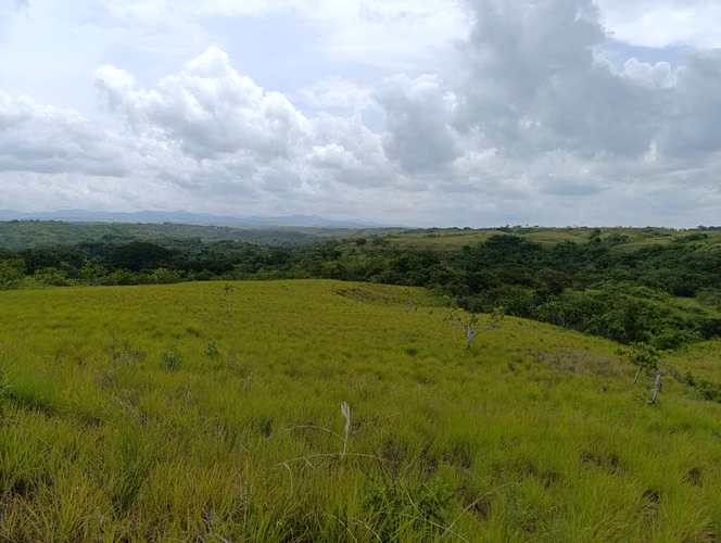 ES-Finca de casi 10 hectáreas en venta | Llano Bonito entrando por Río Hato, Coclé | US$274,000 - Imagen 8