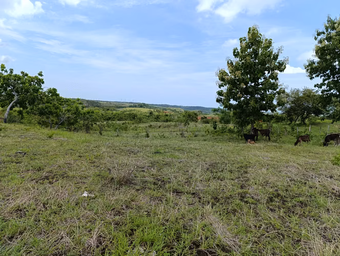 ES-Finca de casi 10 hectáreas en venta | Llano Bonito entrando por Río Hato, Coclé | US$274,000 - Imagen 10