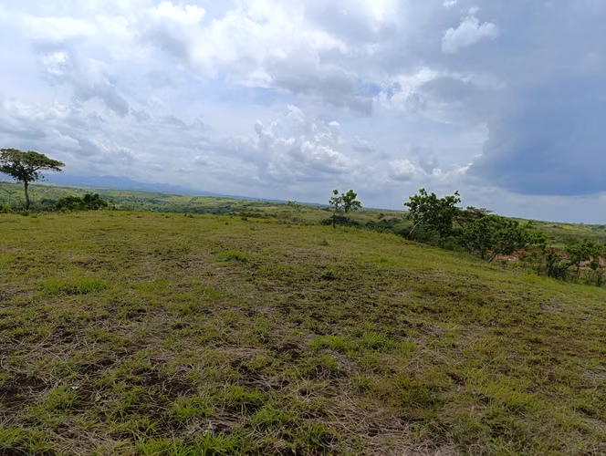 ES-Finca de casi 10 hectáreas en venta | Llano Bonito entrando por Río Hato, Coclé | US$274,000 - Imagen 6