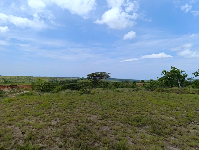 ES-Finca de casi 10 hectáreas en venta | Llano Bonito entrando por Río Hato, Coclé | US$274,000 - Imagen 9