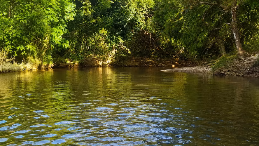 ES-Finca de casi 10 hectáreas en venta | Llano Bonito entrando por Río Hato, Coclé | US$274,000 - Imagen 12