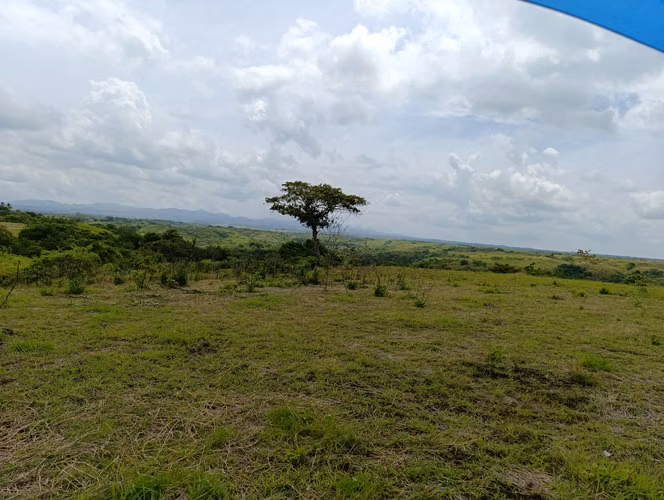 ES-Finca de casi 10 hectáreas en venta | Llano Bonito entrando por Río Hato, Coclé | US$274,000 - Imagen 7