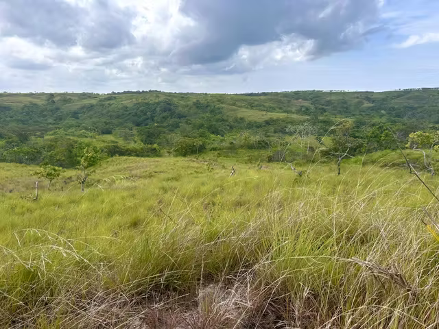 (AS) Terreno en Venta en Río Hato | casi 10 Hectáreas | A Minutos del Aeropuerto Scarlett Martinez - Imagen 5