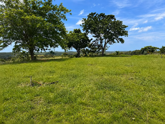 (AS) Terreno en Venta en Río Hato | casi 10 Hectáreas | A Minutos del Aeropuerto Scarlett Martinez - Imagen 2