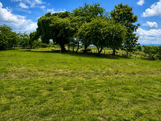 (AS) Terreno en Venta en Río Hato | casi 10 Hectáreas | A Minutos del Aeropuerto Scarlett Martinez