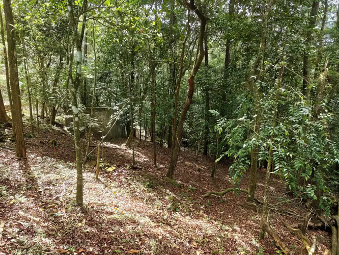 VENTA DE TERRENOS –LAS.NUBES CERRO AZUL LAS NUBES