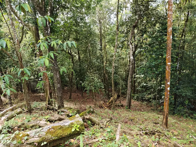 VENTA DE TERRENOS –LAS.NUBES CERRO AZUL LAS NUBES