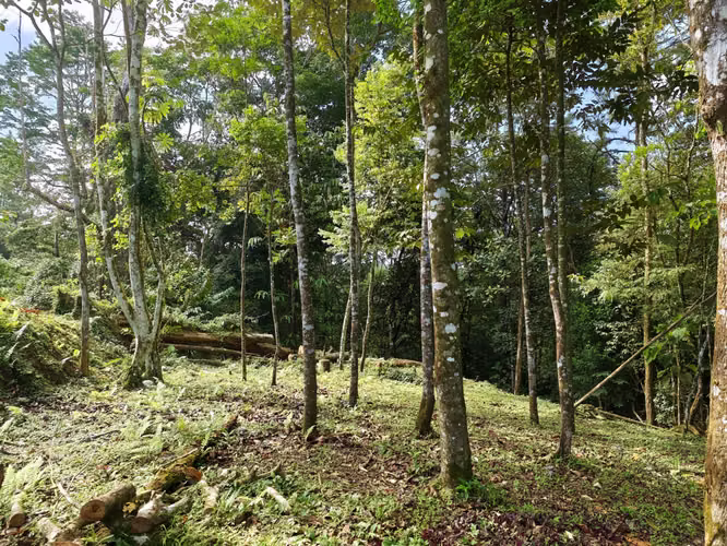VENTA DE TERRENOS –LAS.NUBES CERRO AZUL LAS NUBES