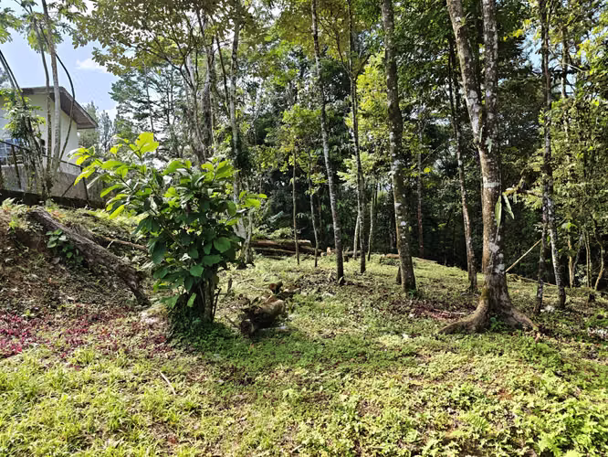 VENTA DE TERRENOS –LAS.NUBES CERRO AZUL LAS NUBES